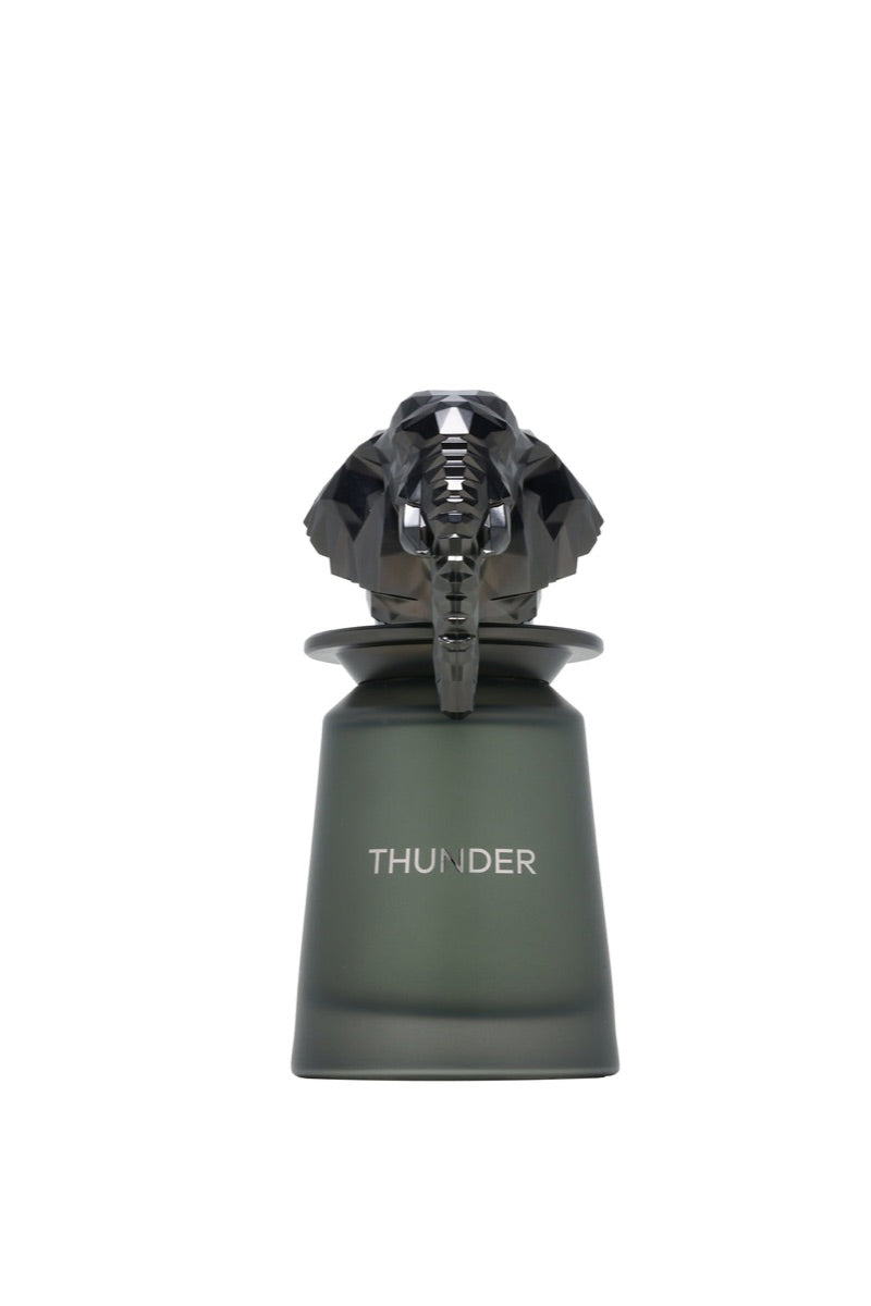 French Avenue Thunder EDP 100ml — Masculino