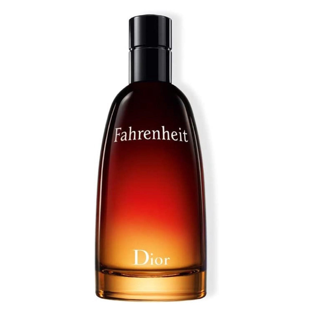 Christian Dior Dior Fahrenheit EDT 100ml — Masculino