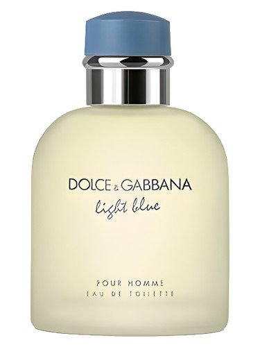 Dolce&Gabbana Light Blue Pour Homme EDT 100ml — Masculino