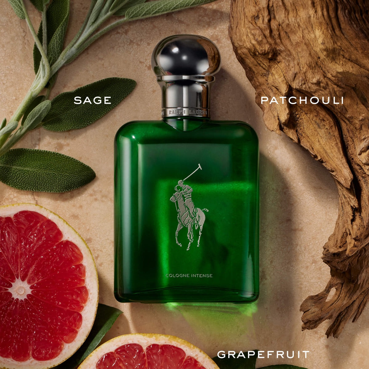 Ralph Lauren Polo Cologne Intense 237ml — Masculino