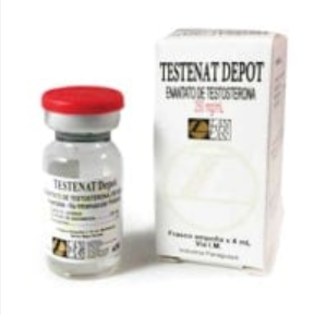Enantato de Testosterona 250mg/ml / 4ml (Testenat Depot) - Landerlan