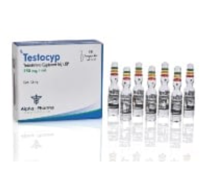 Cipionato de Testosterona 250mg/ 10 ampolas de 1ml (Testocyp) - Alpha Pharma