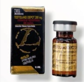Cipionato de Testosterona 100mg/ml / 10ml (Testoland Depot) - Landerlan