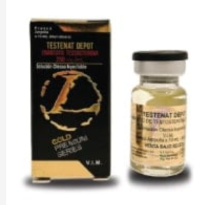 Enantato de Testosterona 250mg/10ml (Testenat) - Landerlan