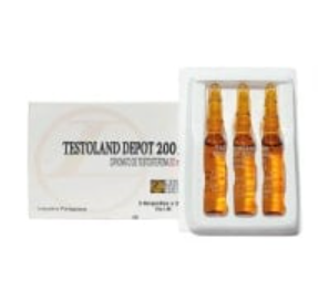 Cipionato de Testosterona 200mg/2ml/ 3 ampolas de 2ml (Testoland) - Landerlan