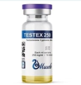 Cipionato de Testosterona Muscle Labs