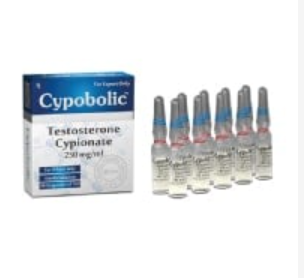 Cipionato de Testosterona 250mg/ 10 ampolas de 1ml (Cypobolic) - Cooper Pharma