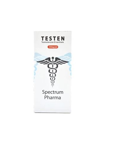 Enantato de Testosterona 300mg/ml (Testen) - Spectrum Pharma