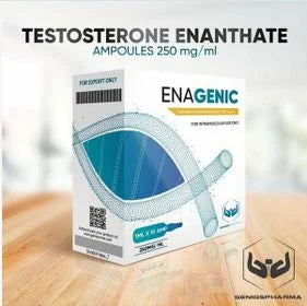 Enantato de Testosterona 250mg/ml - 10 ampolas x 1ml (Enagenic) - Drosgenic